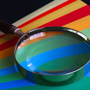 Calidad / Competitividad