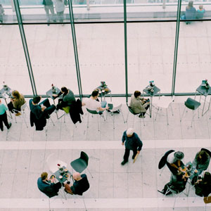 Calidad/ Competitividad